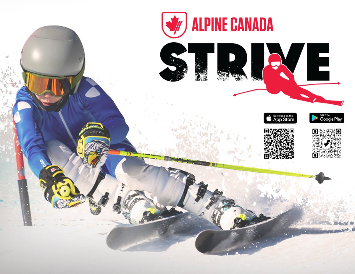 Strive 8-11 QR-2